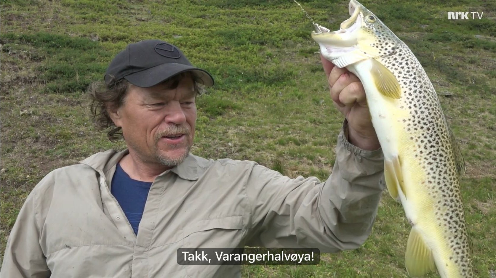 Stor öring